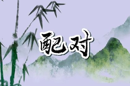 自由恋爱时代的合婚